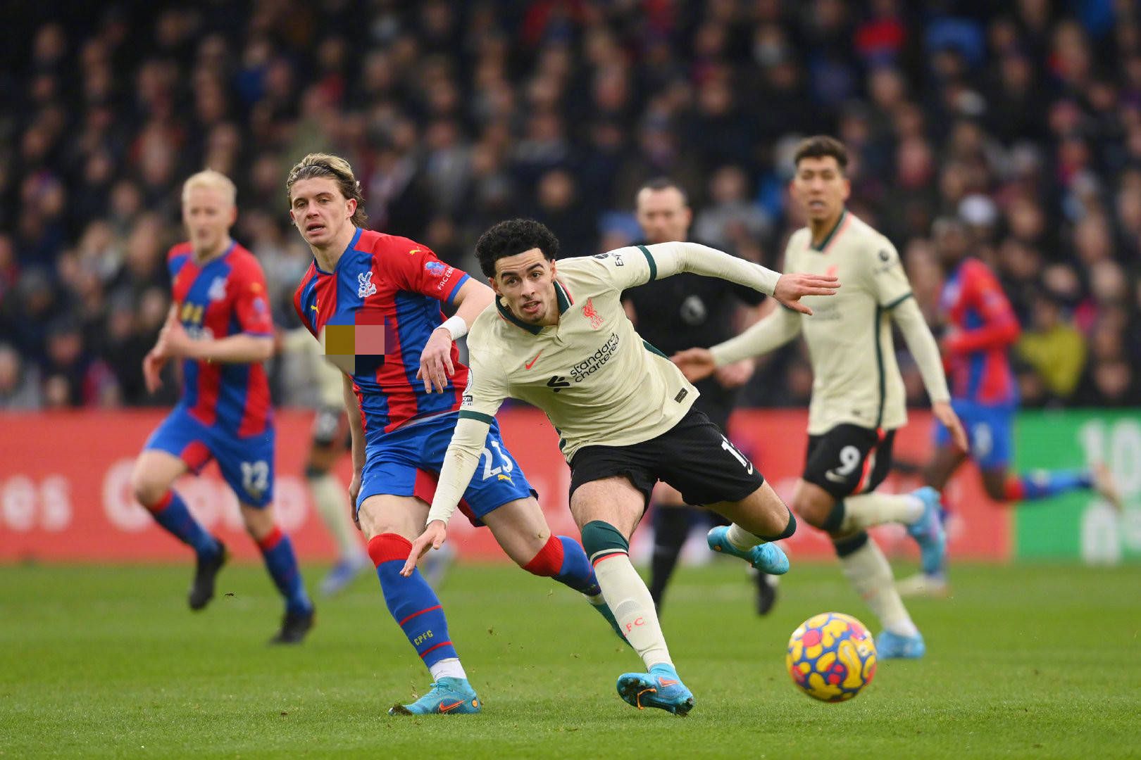 他成功在關 他成功在關